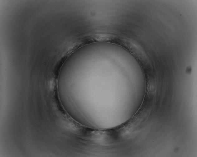 X0000101210367200807071344