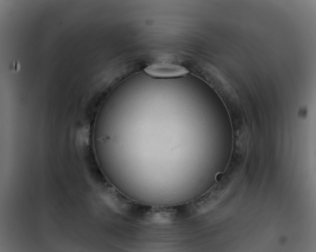 X0000101210368200807071344