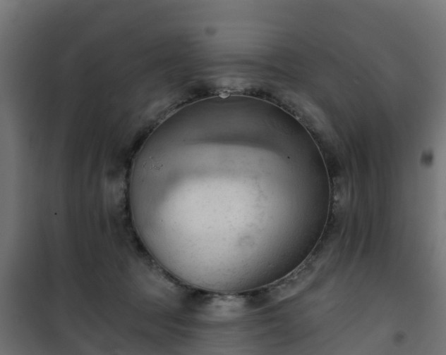 X0000101210369200807071345