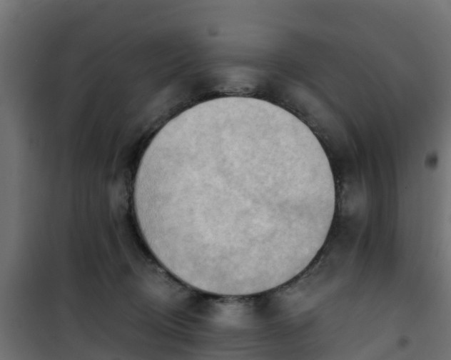 X0000101210370200807071345