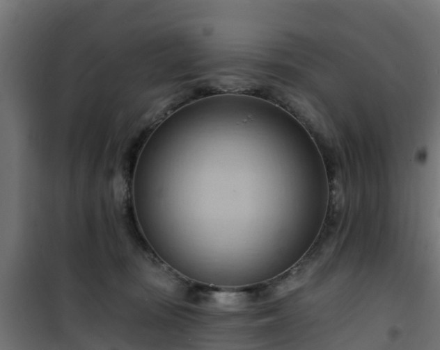 X0000101210371200807071345