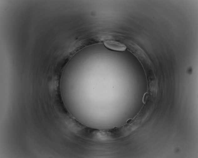 X0000101210372200807071345