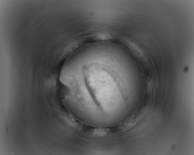 X0000101210373200807071345