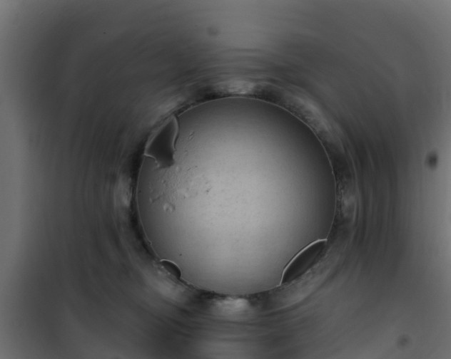 X0000101210374200807071345