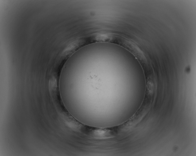 X0000101210375200807071345