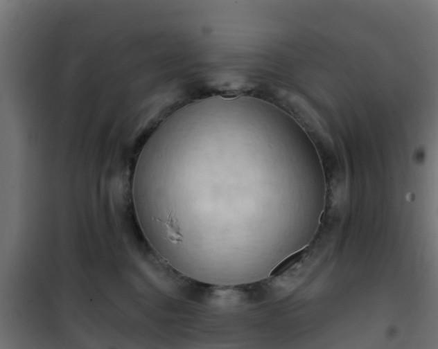 X0000101210376200807071345