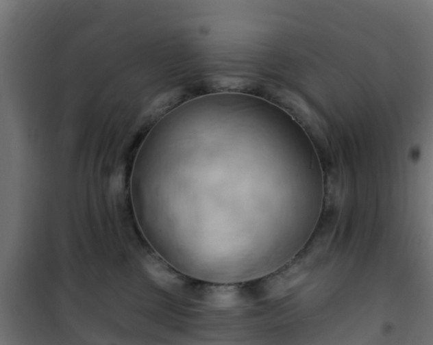 X0000101210377200807071345