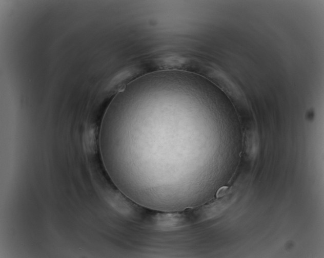 X0000101210378200807071345