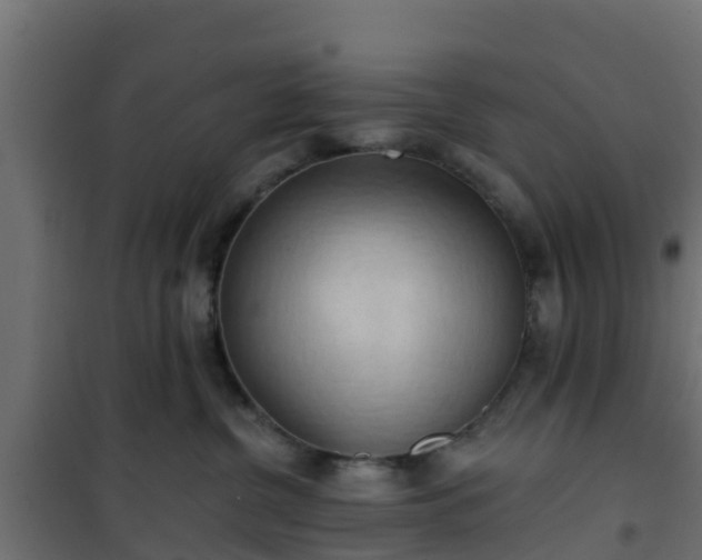 X0000101210380200807071345