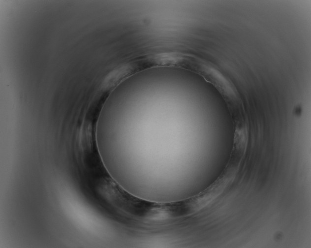 X0000101210381200807071345