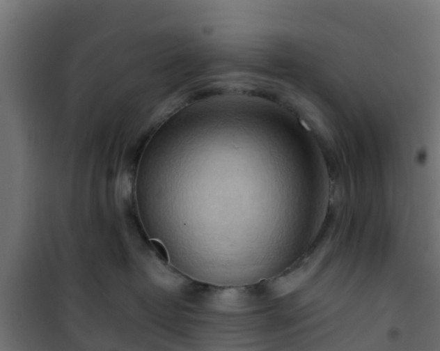 X0000101210382200807071345