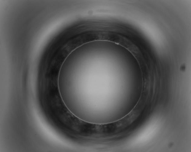 X0000101210383200807071345