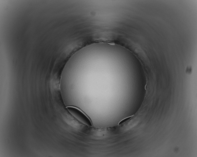 X0000101210384200807071345