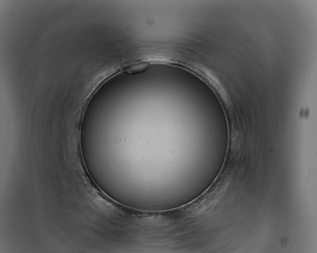 X0000101210385200807071344