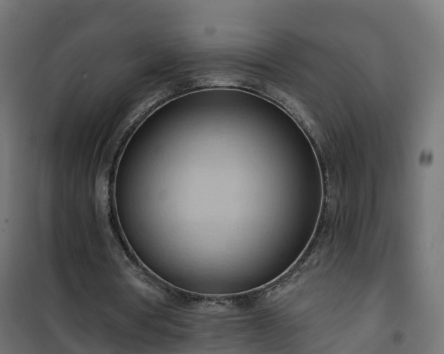 X0000101210386200807071344