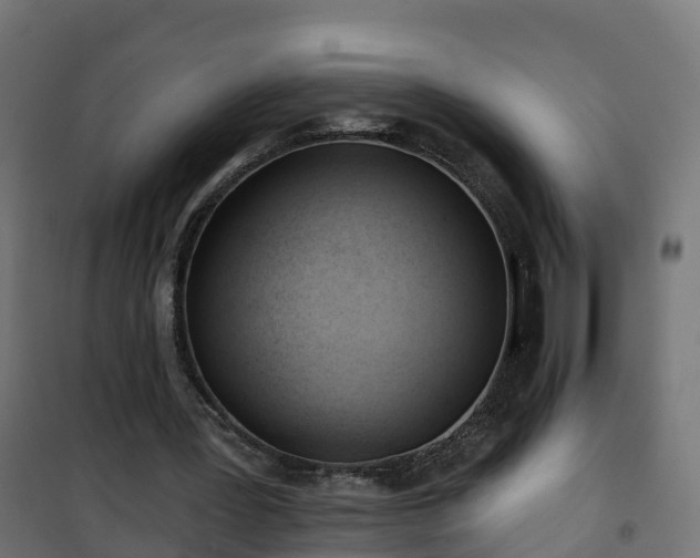 X0000101210387200807071344