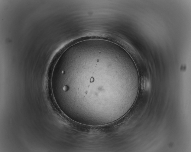 X0000101210388200807071344