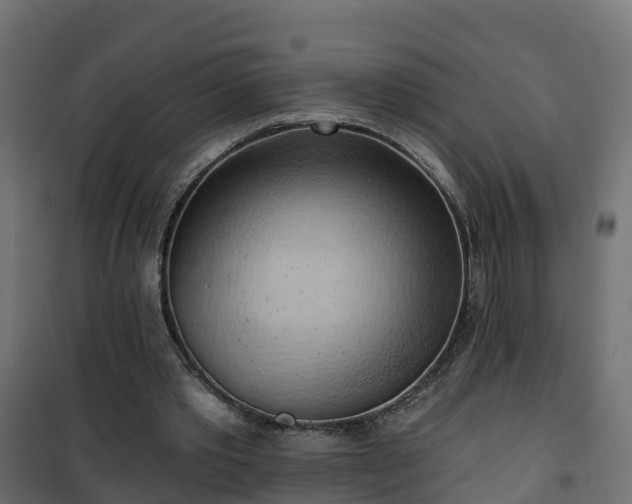 X0000101210389200807071344