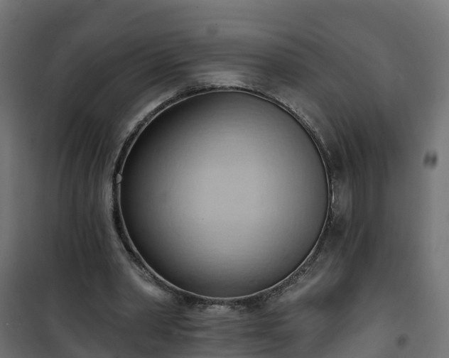 X0000101210390200807071344