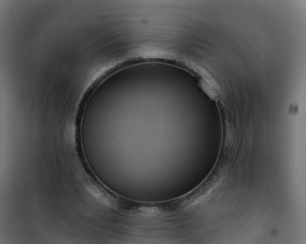 X0000101210391200807071344