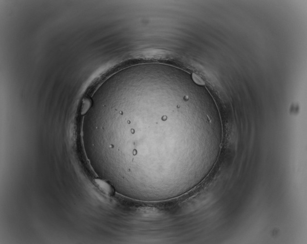 X0000101210392200807071344