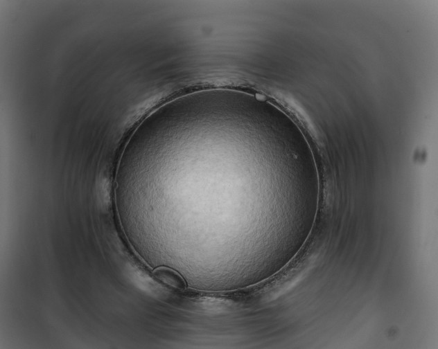 X0000101210393200807071344