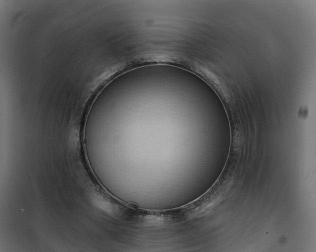 X0000101210394200807071344