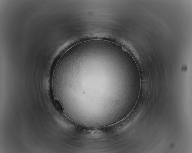 X0000101210395200807071344