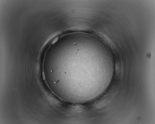 X0000101210396200807071344