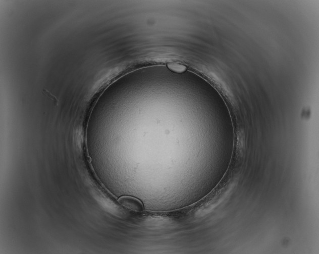 X0000101210397200807071344