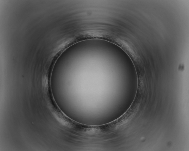 X0000101210398200807071344