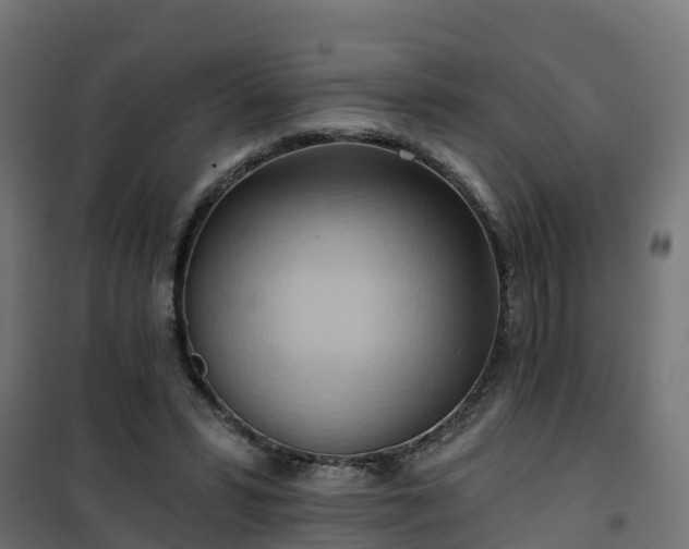 X0000101210399200807071343