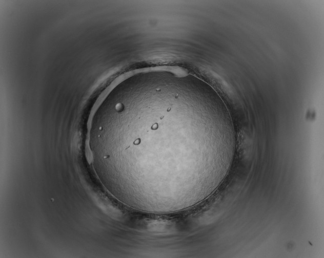 X0000101210400200807071343