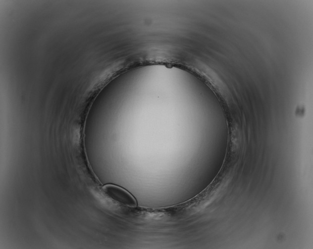 X0000101210401200807071343