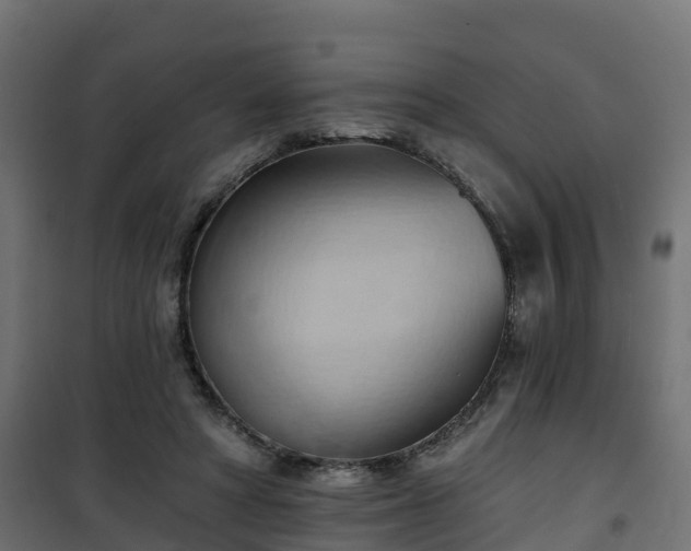 X0000101210402200807071343