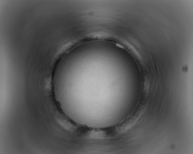 X0000101210403200807071343