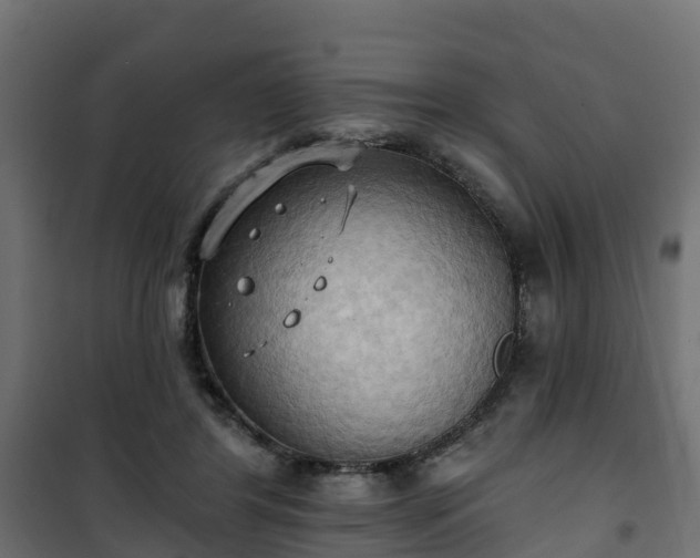 X0000101210404200807071343