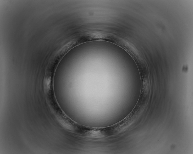 X0000101210406200807071343