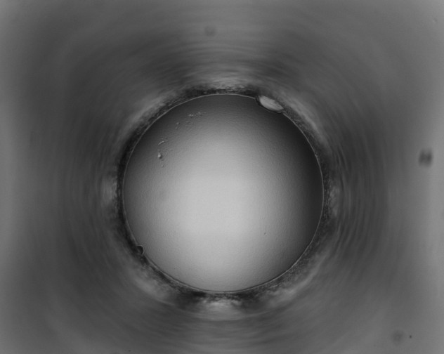 X0000101210407200807071343