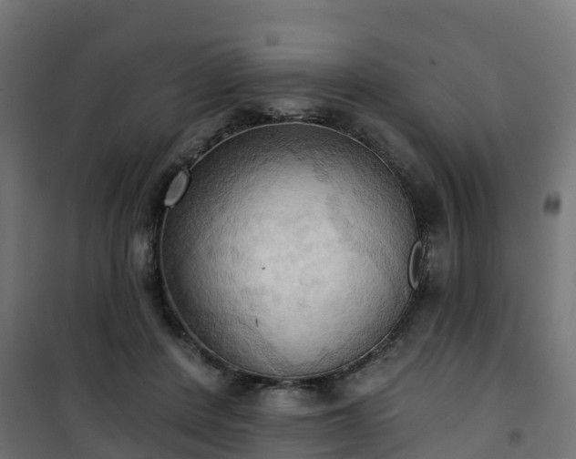 X0000101210408200807071343