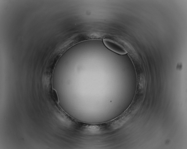 X0000101210409200807071343