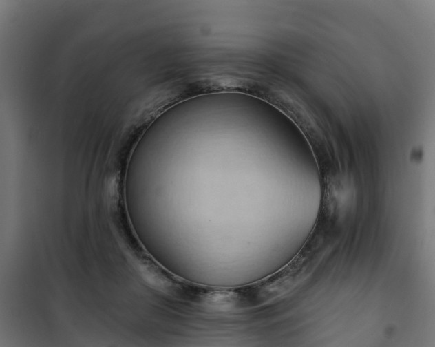 X0000101210410200807071343