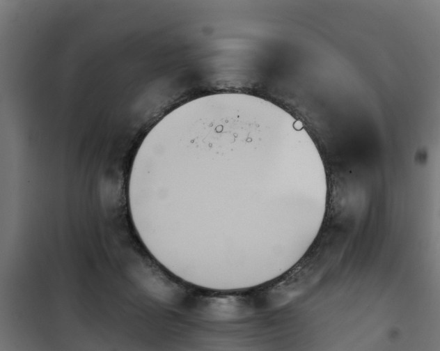 X0000101210411200807071343