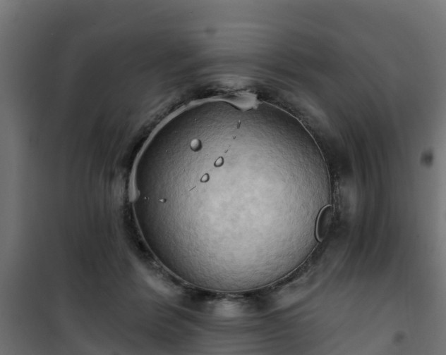 X0000101210412200807071343