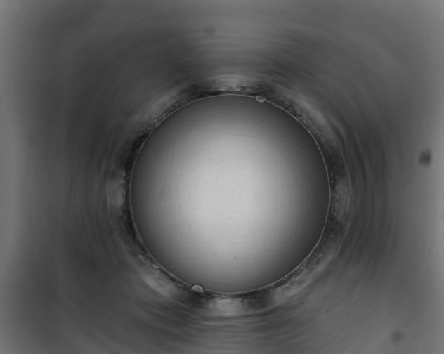 X0000101210413200807071343