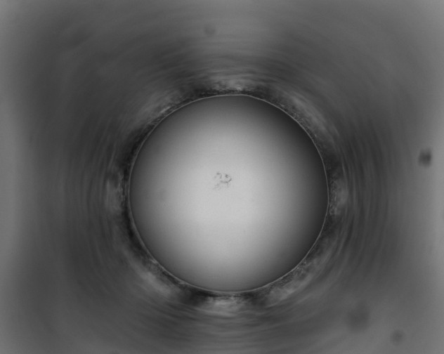 X0000101210414200807071343