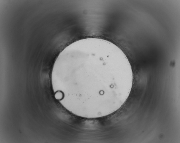 X0000101210415200807071343