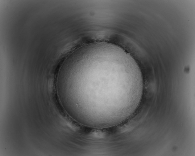 X0000101210416200807071343