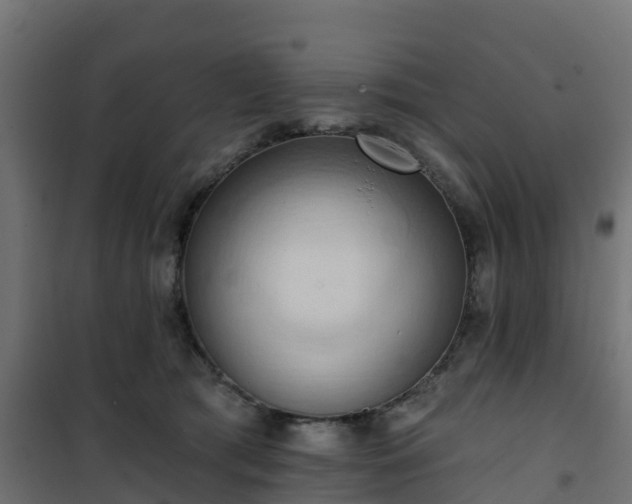 X0000101210417200807071343