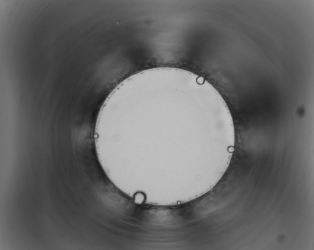 X0000101210419200807071343